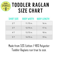 Rainbow Middle Brother Toddler Raglan Shirt