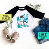 The Bunny Promoted Me to Big Brother Cute Toddler Boy Easter Raglan Shirt