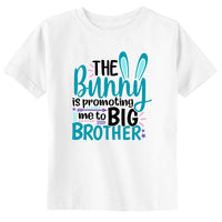 The Bunny Promoted Me to Big Brother Cute Toddler & Youth Girl Easter T-Shirt