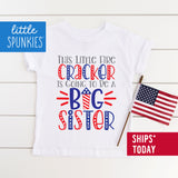 Little Firecracker Big Sister Toddler Youth 4th of July Shirt