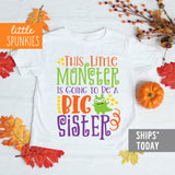 Little Monster BIG SIS Toddler Youth Halloween Kids Sister Shirt