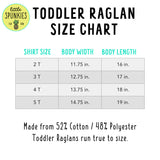 New Middle Sister Rainbow Toddler Girls Raglan Shirt